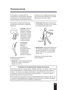 Мышцы человека. Краткий справочник — фото, картинка — 8