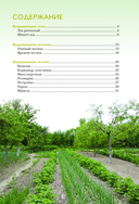 Лук, чеснок, зелень. Посадка. Уход. Защита. Уборка. Хранение — фото, картинка — 3