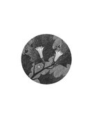 Листья травы — фото, картинка — 3