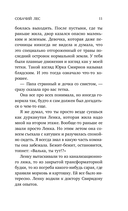 Собачий лес — фото, картинка — 10