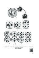 Анатомия человека — фото, картинка — 12