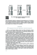 Анатомия человека — фото, картинка — 13