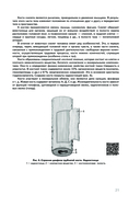 Анатомия человека — фото, картинка — 20