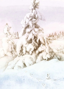 Сказки народов России. Сказки сибирских деревень — фото, картинка — 8