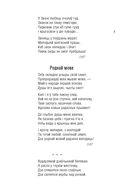 Родны край — наша сонца — фото, картинка — 5