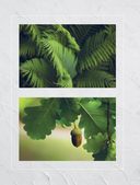 Ботанический барельеф шаг за шагом. Мастер-классы по стильному интерьерному декору — фото, картинка — 14