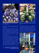 Драгоценные камни — фото, картинка — 10