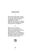 Стихотворения. Поэмы — фото, картинка — 29