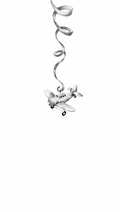 Моя нечаянная радость — фото, картинка — 1