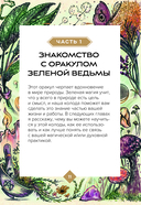 Зеленая ведьма. Колода-оракул. Откройте для себя силу и мудрость природной магии (50 карт и руководство) — фото, картинка — 9