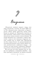 Рождественские преступления в книжном магазинчике — фото, картинка — 5