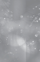 Чудесный мир. Том 1 — фото, картинка — 6