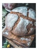 Хлеб, который можно всем: старинные русские рецепты на закваске, функциональный хлеб и выпечка без глютена — фото, картинка — 11