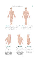 Современный атлас анатомии человека. Карманное пособие по строению костей, мышц, миофасциальных цепей и принципам движения тела — фото, картинка — 11