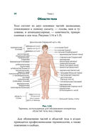 Современный атлас анатомии человека. Карманное пособие по строению костей, мышц, миофасциальных цепей и принципам движения тела — фото, картинка — 12