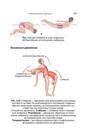 Современный атлас анатомии человека. Карманное пособие по строению костей, мышц, миофасциальных цепей и принципам движения тела — фото, картинка — 15