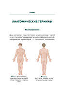 Современный атлас анатомии человека. Карманное пособие по строению костей, мышц, миофасциальных цепей и принципам движения тела — фото, картинка — 8