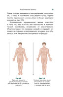Современный атлас анатомии человека. Карманное пособие по строению костей, мышц, миофасциальных цепей и принципам движения тела — фото, картинка — 9
