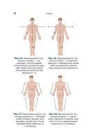 Современный атлас анатомии человека. Карманное пособие по строению костей, мышц, миофасциальных цепей и принципам движения тела — фото, картинка — 10