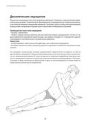 Анатомия движения: основы упражнений — фото, картинка — 12