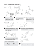 Искусство линий. Учимся рисовать в китайском стиле: от наброска до готовой иллюстрации — фото, картинка — 14