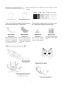 Искусство линий. Учимся рисовать в китайском стиле: от наброска до готовой иллюстрации — фото, картинка — 7