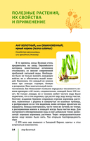 Травник. Лекарственные растения от А до Я — фото, картинка — 13