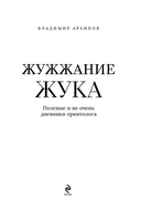 Жужжание жука. Полевые и не очень дневники орнитолога — фото, картинка — 2
