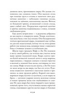 Золотоискатели в пустыне — фото, картинка — 14