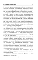 Крушение Турмфальке — фото, картинка — 8