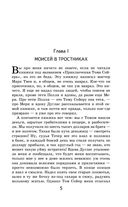 Приключения Тома Сойера и Гекльберри Финна. Комплект из 2 книг — фото, картинка — 18