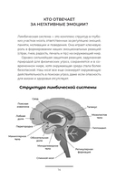 Как приручить тревогу и вернуть контроль над жизнью. Метод, который работает — фото, картинка — 16