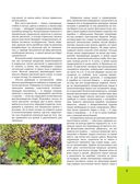 Большая иллюстрированная энциклопедия лекарственных растений — фото, картинка — 6