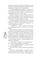 Мой любимый вожатый — фото, картинка — 21