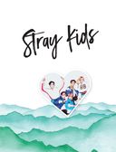 Stray Kids. Фанбук — фото, картинка — 2