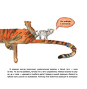 Индия. Страна мудрецов — фото, картинка — 4