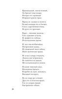 Я конквистадор в панцире железном... — фото, картинка — 27