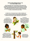 Секреты природы — фото, картинка — 6