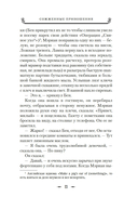 Сожженные приношения — фото, картинка — 19