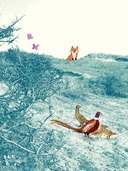 Лисёнок — фото, картинка — 12