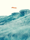 Лисёнок — фото, картинка — 16