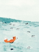 Лисёнок — фото, картинка — 3