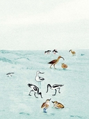 Лисёнок — фото, картинка — 4