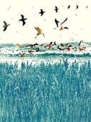 Лисёнок — фото, картинка — 8