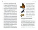 Великая гибель насекомых — фото, картинка — 1