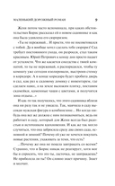 Маленький дорожный роман — фото, картинка — 9