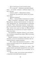 Стажер Зеркального сыска — фото, картинка — 13