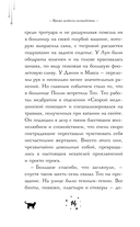 Время зелёного волшебства — фото, картинка — 13