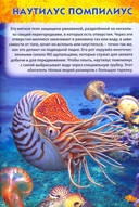 Подводный мир — фото, картинка — 2