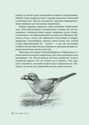 Загадки леса — фото, картинка — 17